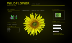 Wildflower Gallery