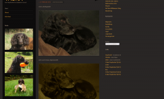 Hunde  Tagebücher ab 2020